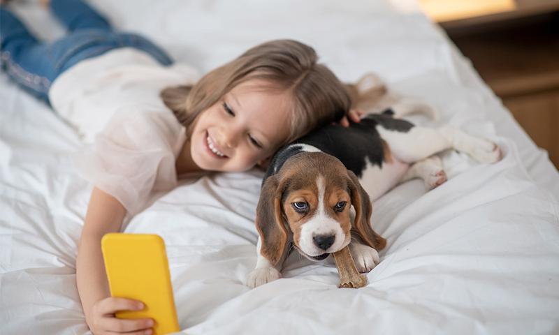 Bezpieczeństwo dzieci z psami