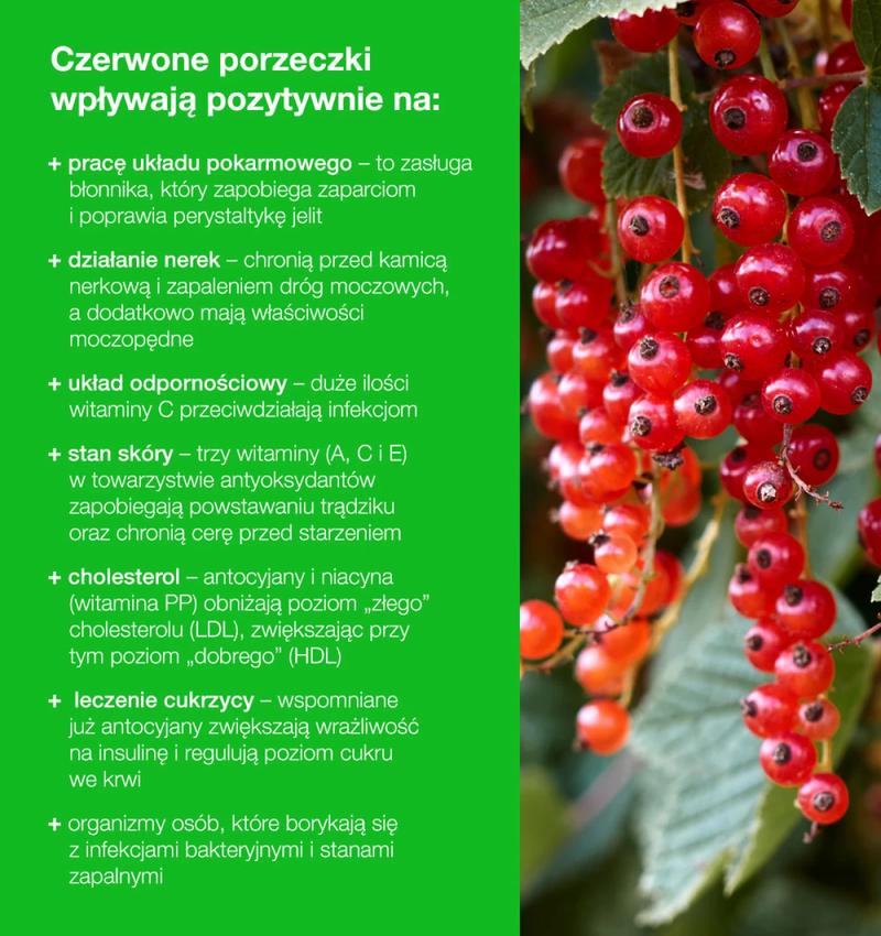 Sekrety i porady konfitury porzeczkowej