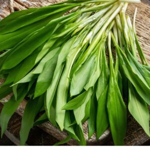 Chleb z czosnkiem niedźwiedzim - wyjątkowy smak, który warto odkryć!