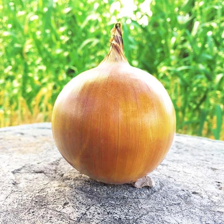 Korzyści i ryzyka dodawania cebuli