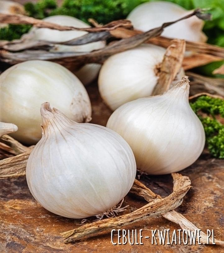 Smak i aromat sałatki jarzynowej